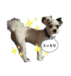 くるみ☆スタンプ3（個別スタンプ：14）