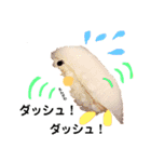 おいしい魚介のあいさつ（個別スタンプ：2）
