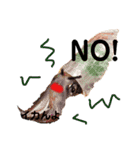 おいしい魚介のあいさつ（個別スタンプ：6）