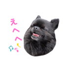 B☆B sisters2.（個別スタンプ：2）