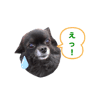 B☆B sisters2.（個別スタンプ：4）