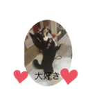 ここスタンプ777（個別スタンプ：8）