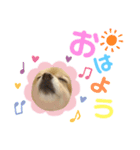 こたまうのすたんぷ（個別スタンプ：2）