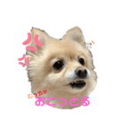 こたまうのすたんぷ（個別スタンプ：5）