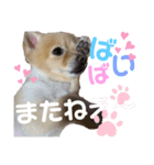 こたまうのすたんぷ（個別スタンプ：8）
