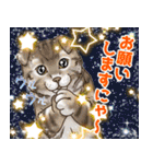 にゃんともわんダフルなスタンプ(修正版)（個別スタンプ：6）