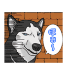 にゃんともわんダフルなスタンプ(修正版)（個別スタンプ：10）