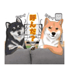 にゃんともわんダフルなスタンプ(修正版)（個別スタンプ：14）