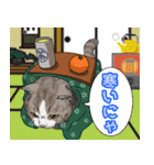 にゃんともわんダフルなスタンプ(修正版)（個別スタンプ：17）