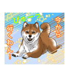 にゃんともわんダフルなスタンプ(修正版)（個別スタンプ：19）