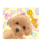 にゃんともわんダフルなスタンプ(修正版)（個別スタンプ：20）