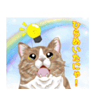 にゃんともわんダフルなスタンプ(修正版)（個別スタンプ：24）