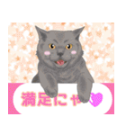 にゃんともわんダフルなスタンプ(修正版)（個別スタンプ：30）