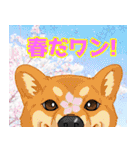 にゃんともわんダフルなスタンプ(修正版)（個別スタンプ：35）