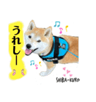 赤柴クロだよ⑤（個別スタンプ：13）