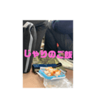 千田さんの森森森みずき！（個別スタンプ：1）