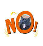 気ままな猫ども（個別スタンプ：5）