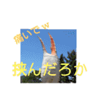 たけしの スタンプ  その11（個別スタンプ：10）