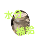 たけしの スタンプ  その11（個別スタンプ：13）