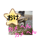 たけしの スタンプ  その11（個別スタンプ：18）