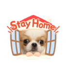 ぺきちわゆぅちゃん4（個別スタンプ：1）