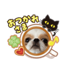 ぺきちわゆぅちゃん4（個別スタンプ：2）