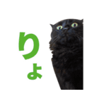 たぬきとうどんのほのぼの2（個別スタンプ：4）