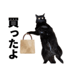たぬきとうどんのほのぼの2（個別スタンプ：7）