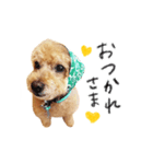 落合チョコ（個別スタンプ：1）