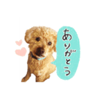 落合チョコ（個別スタンプ：3）