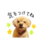 落合チョコ（個別スタンプ：4）