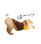 落合チョコ（個別スタンプ：5）