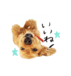 落合チョコ（個別スタンプ：6）