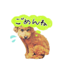 落合チョコ（個別スタンプ：7）