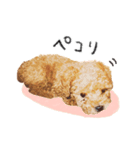 落合チョコ（個別スタンプ：8）