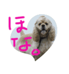 ludique（個別スタンプ：2）