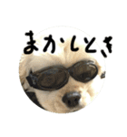 ludique（個別スタンプ：4）