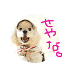 ludique（個別スタンプ：10）