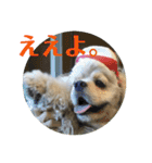 ludique（個別スタンプ：12）