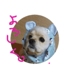 ludique（個別スタンプ：13）