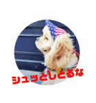 ludique（個別スタンプ：14）