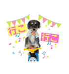 シュナウザー(リンク2)（個別スタンプ：3）