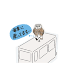 目の開いていないふくろう（個別スタンプ：5）