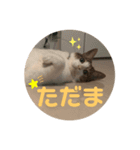 俺様は小次郎。4（個別スタンプ：3）