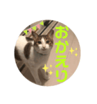 俺様は小次郎。4（個別スタンプ：4）