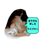 ふうちゃんの巻 その1（個別スタンプ：10）