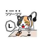 モールス信号（アルファベット+記号）（個別スタンプ：12）