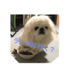 遊ぼう〜（個別スタンプ：1）