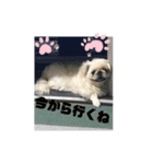 遊ぼう〜（個別スタンプ：5）