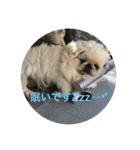 遊ぼう〜（個別スタンプ：7）